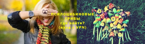 MDMA Premium VHQ Медвежьегорск