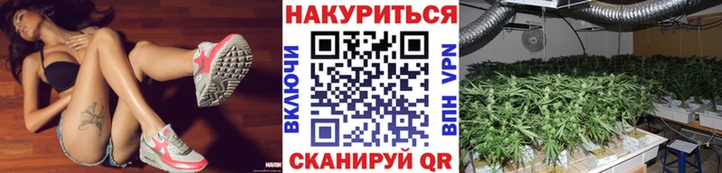 Марихуана White Widow  как найти   Покачи 